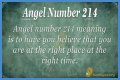 
ANGEL NUMBER 214
