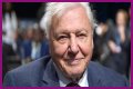 David Attenborough Net Worth, Age, Height, Bio, Birthday, Wiki!