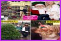 Exclusive: The 'Real Housewives' Personal Christmas Photos!