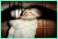 Q&A Session: Pixie Lott - CelebMix